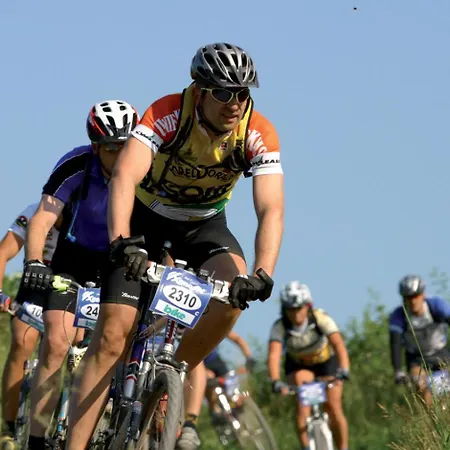 La Belle فيلنغن